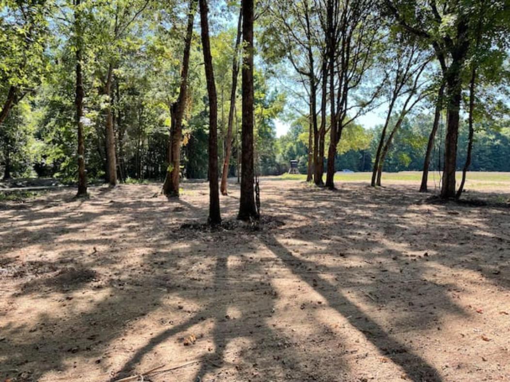 Charming Tiny Home! Close To Oxford, Sardis Lake, Safari Animal Zoo Bagian luar foto
