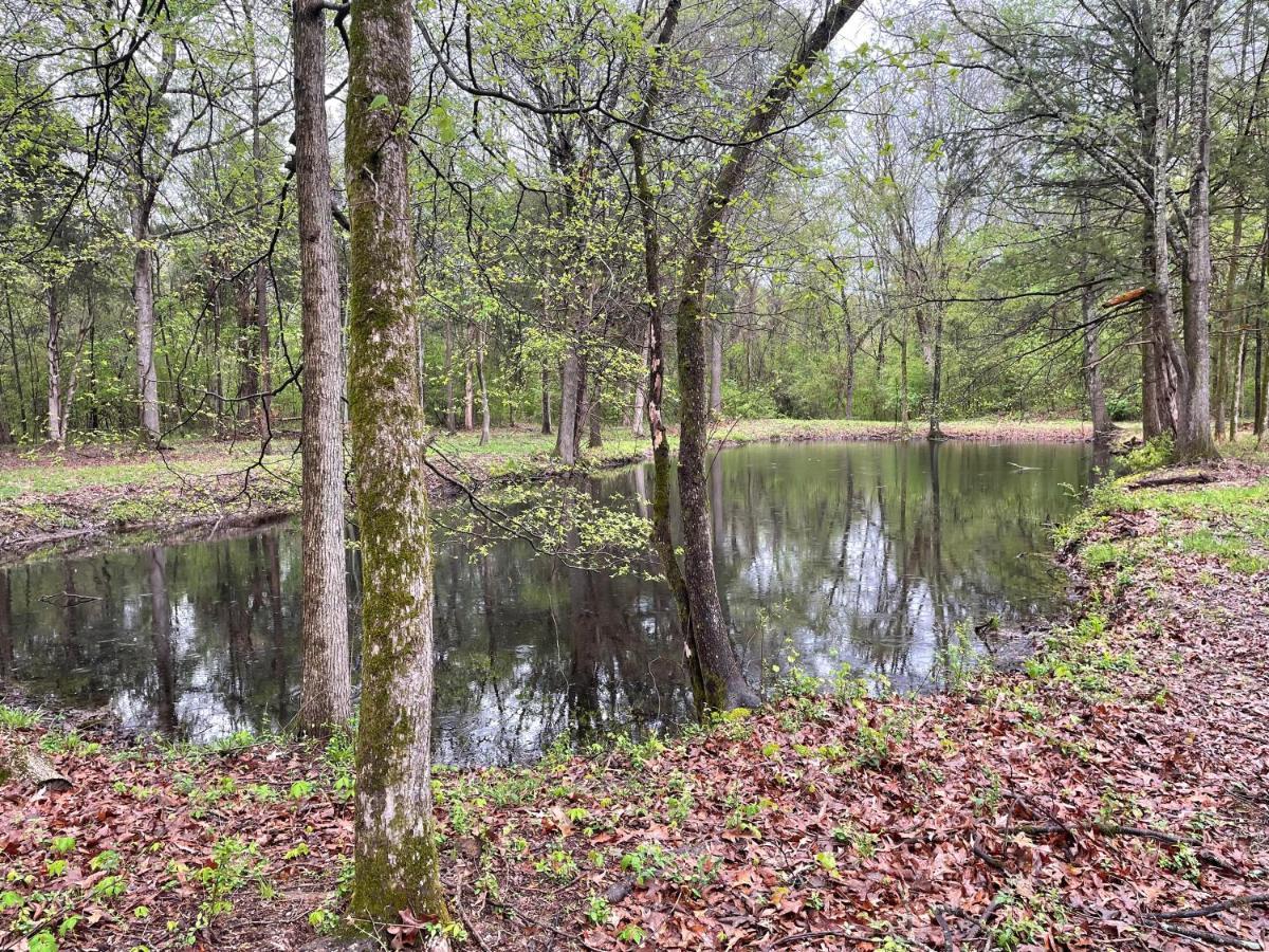 Charming Tiny Home! Close To Oxford, Sardis Lake, Safari Animal Zoo Bagian luar foto